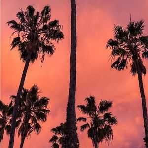 Meet your Posher, Amani